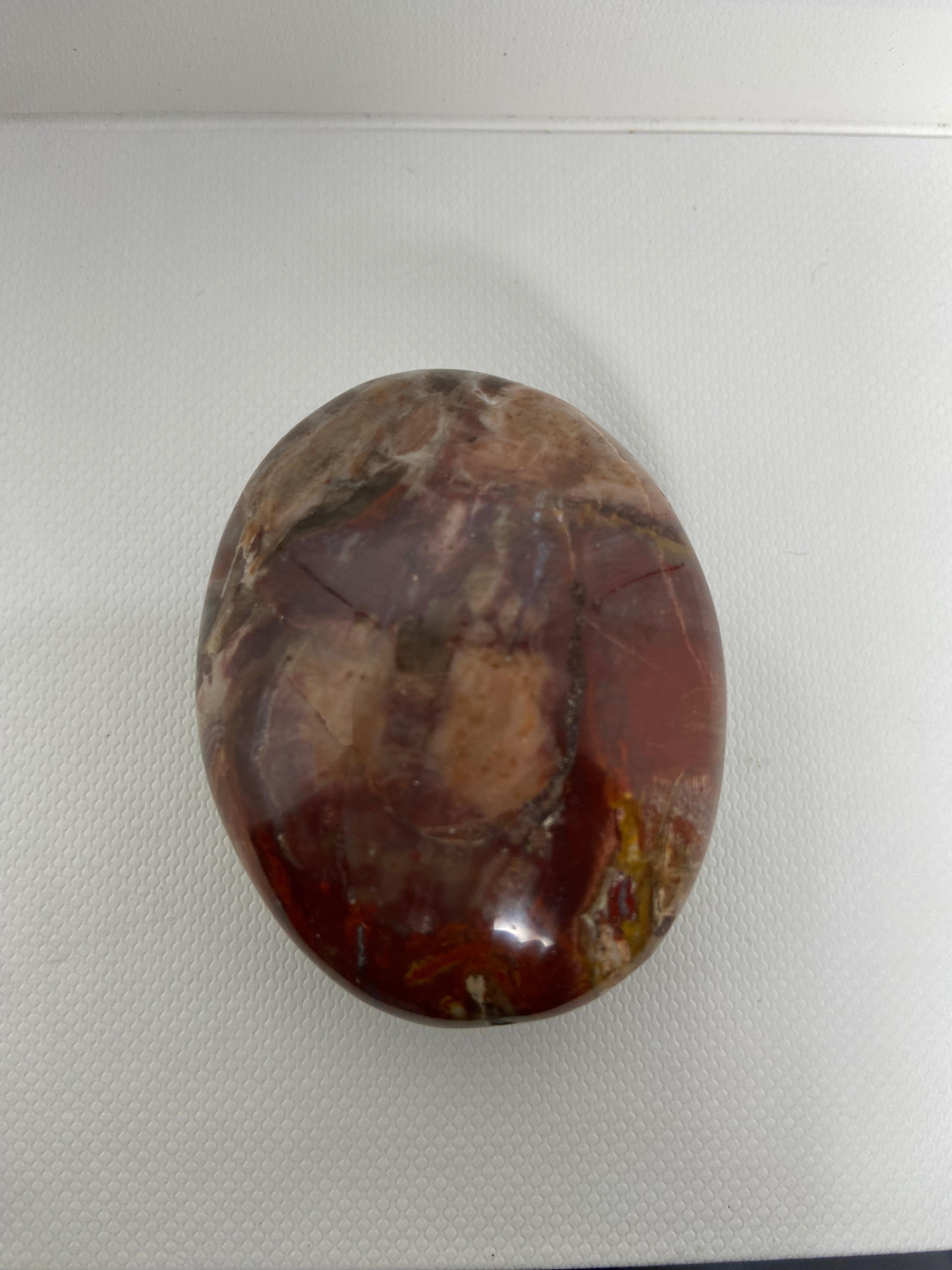 Petrified Wood Palm Stone
