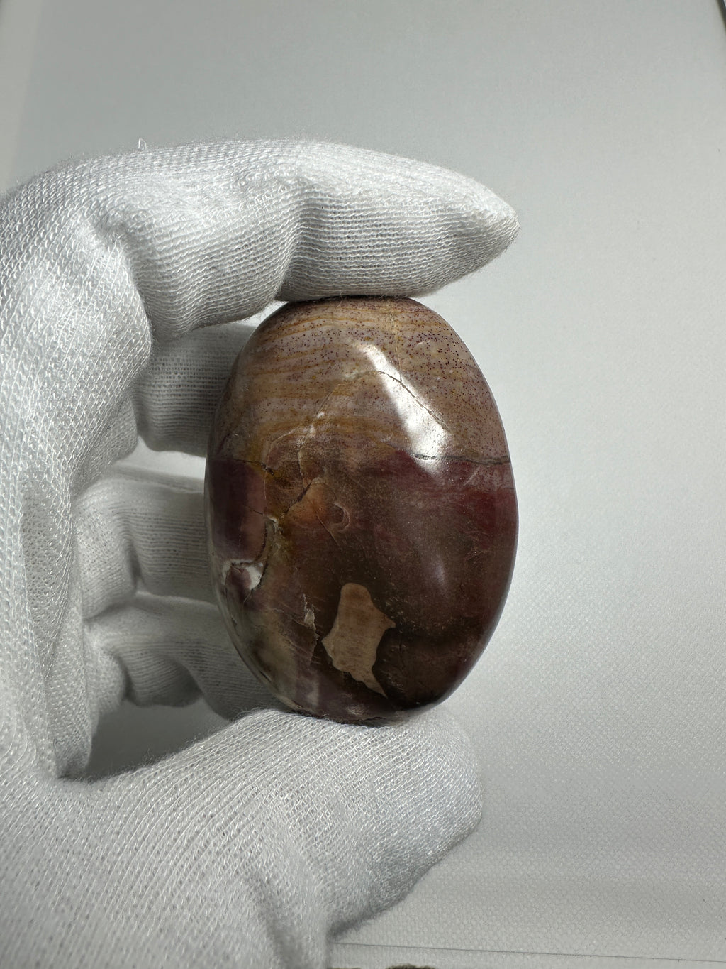 Petrified Wood Palm Stone