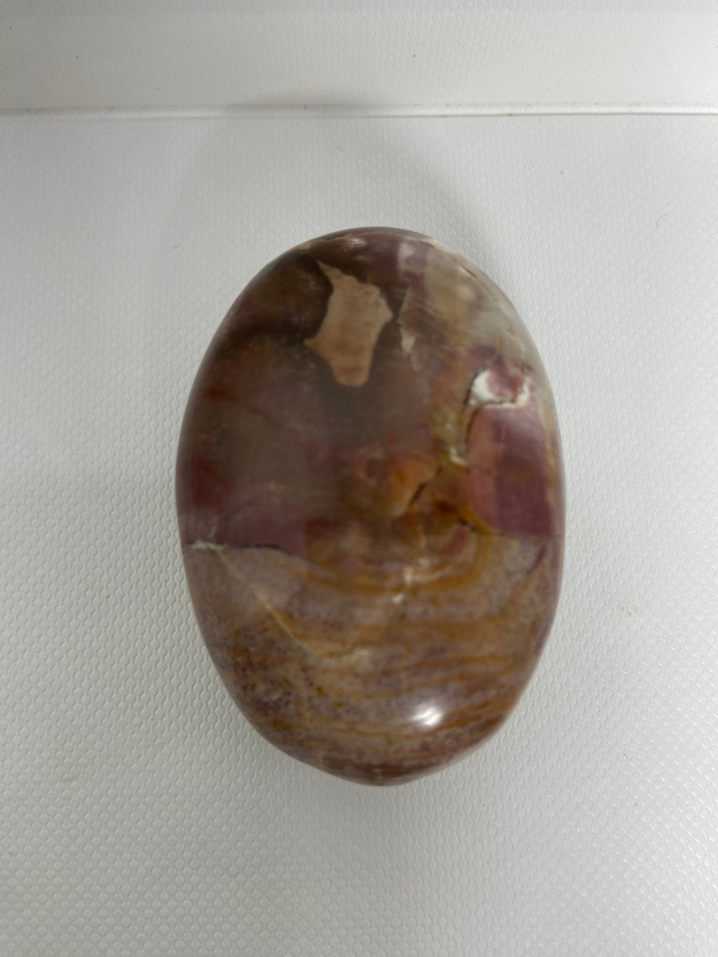 Petrified Wood Palm Stone