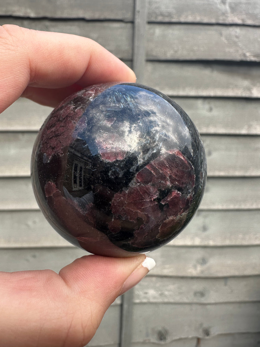 Garnet In Arfvedsonite
 Sphere