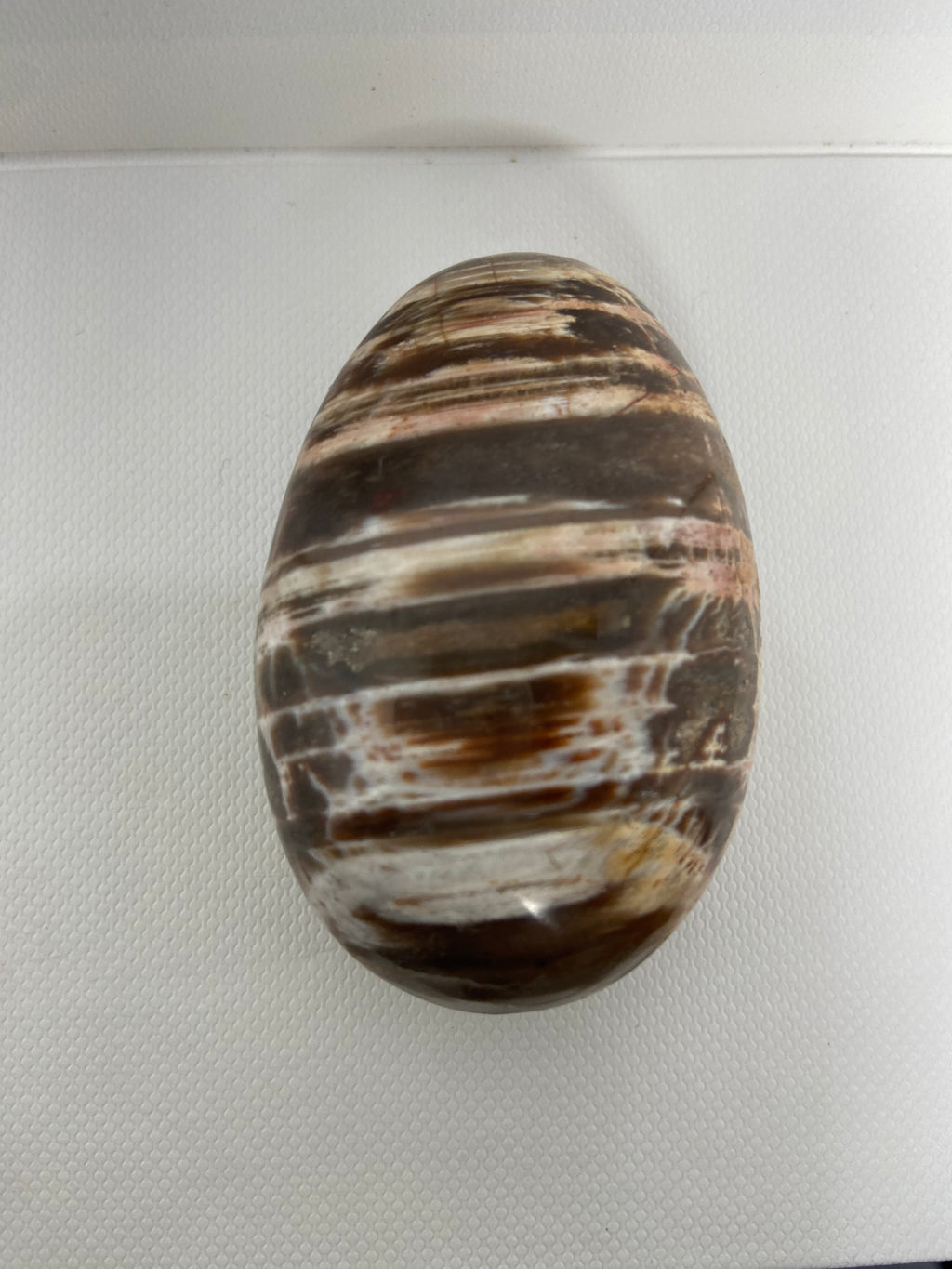 Petrified Wood Palm Stone