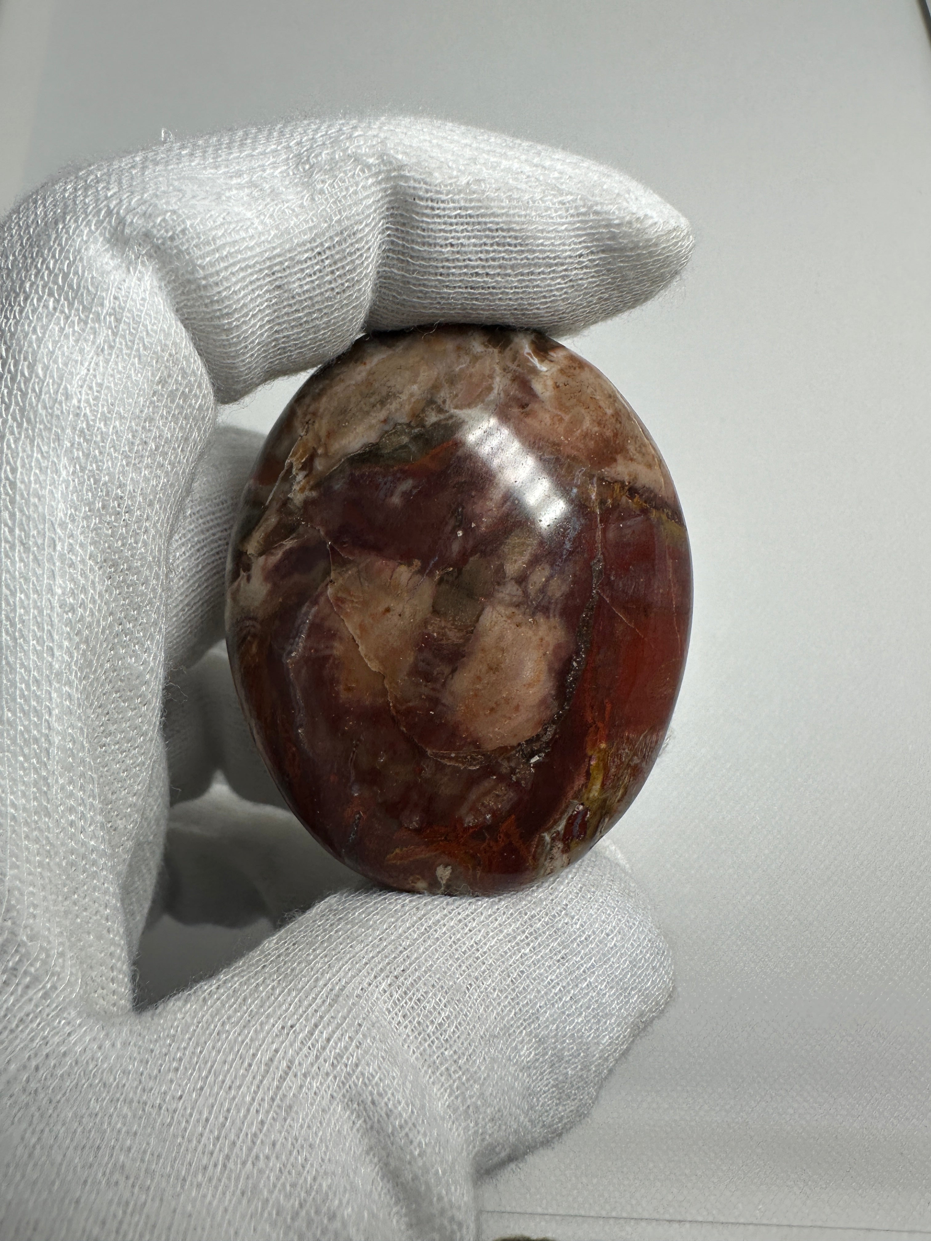 Petrified Wood Palm Stone