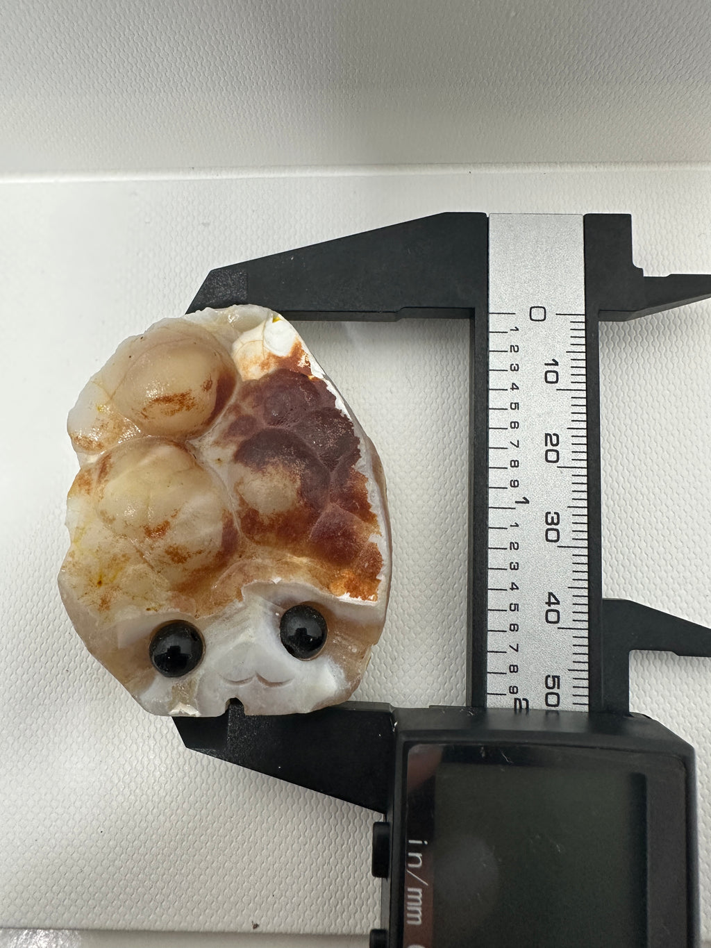 Agate Pet Rock Face