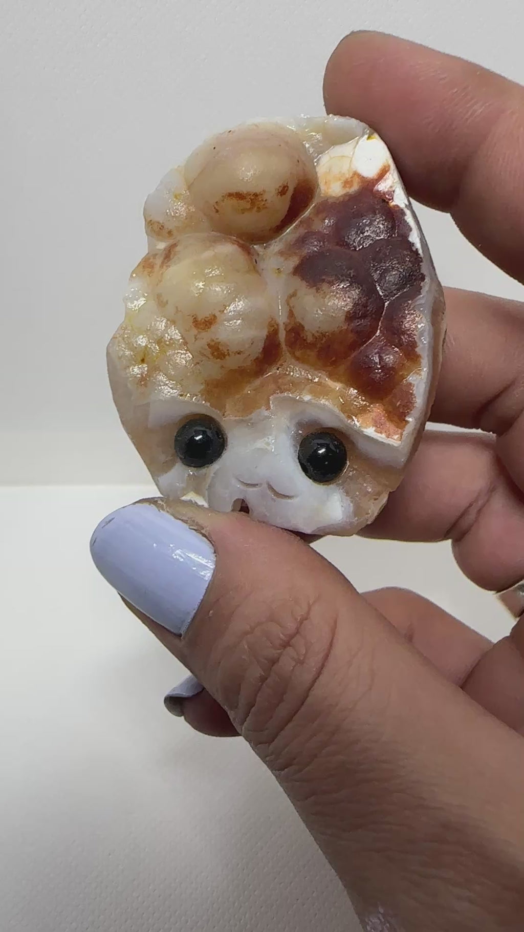 Agate Pet Rock Face