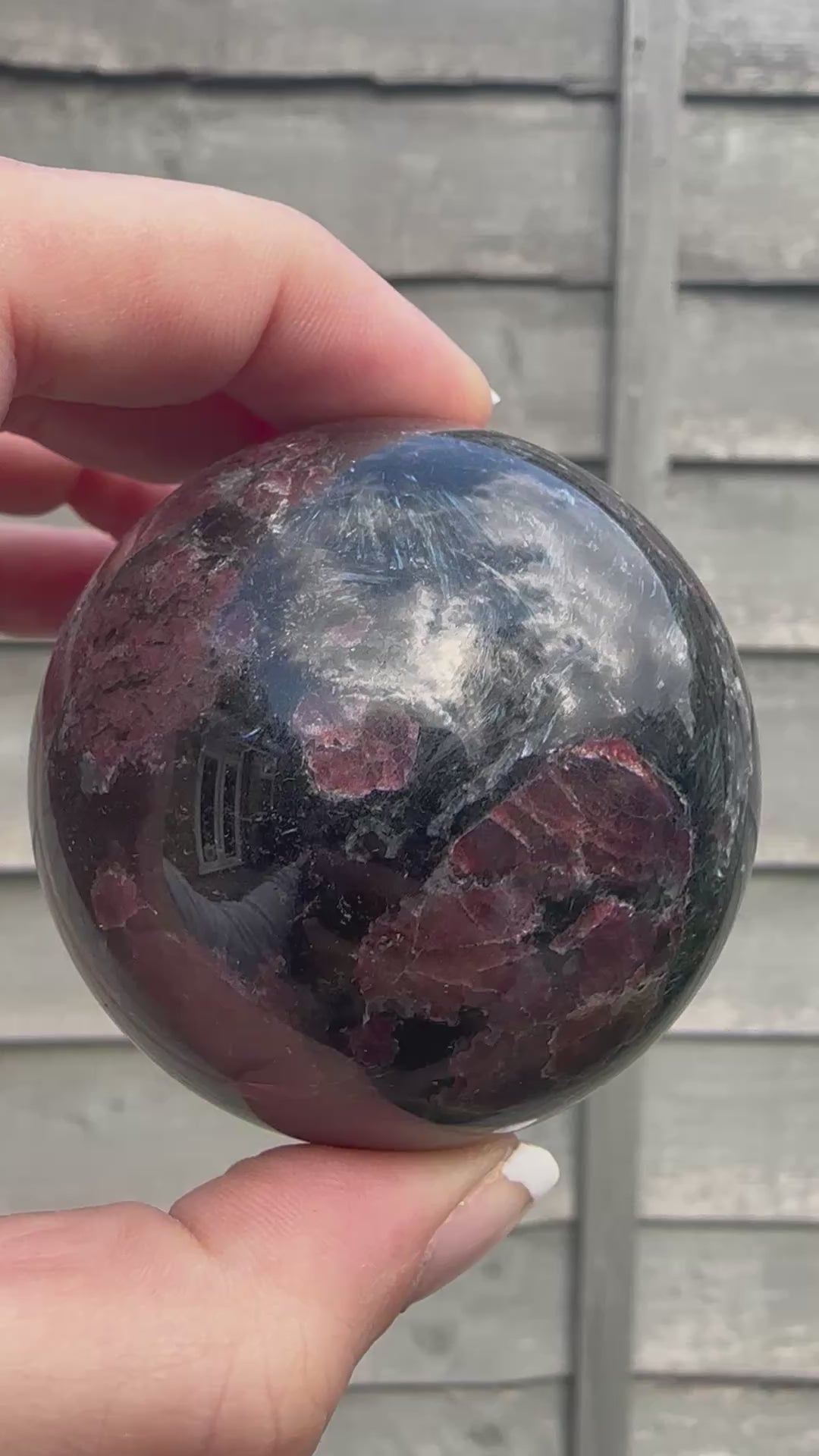 Garnet In Arfvedsonite
 Sphere